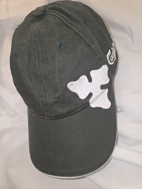 Carlsberg Beer Hat